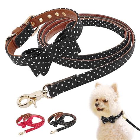 stylish dog collars and leashes.